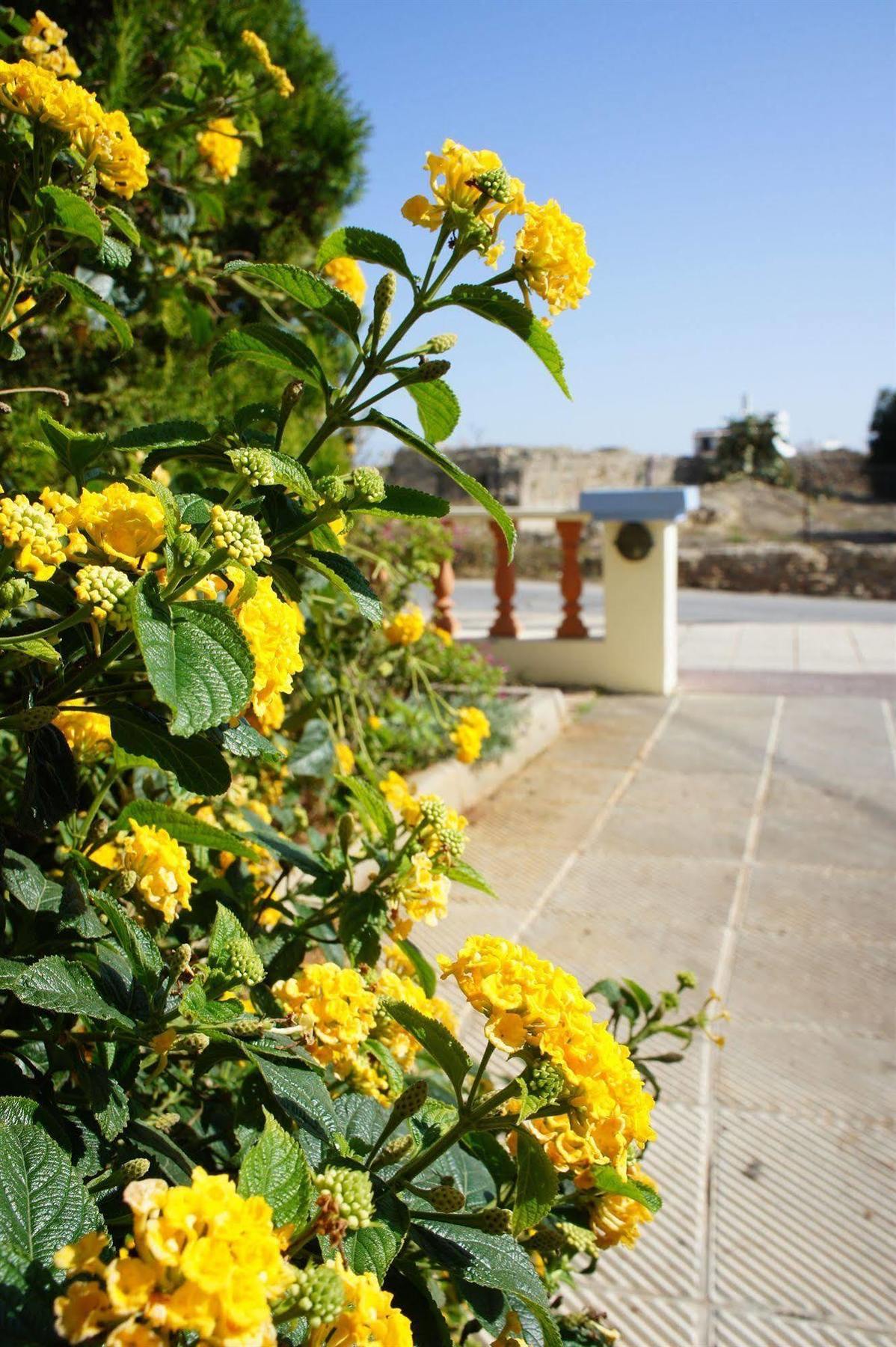 Senses Blue Boutique Hotel Chersonissos Buitenkant foto